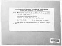 Image Associated With the Occurence